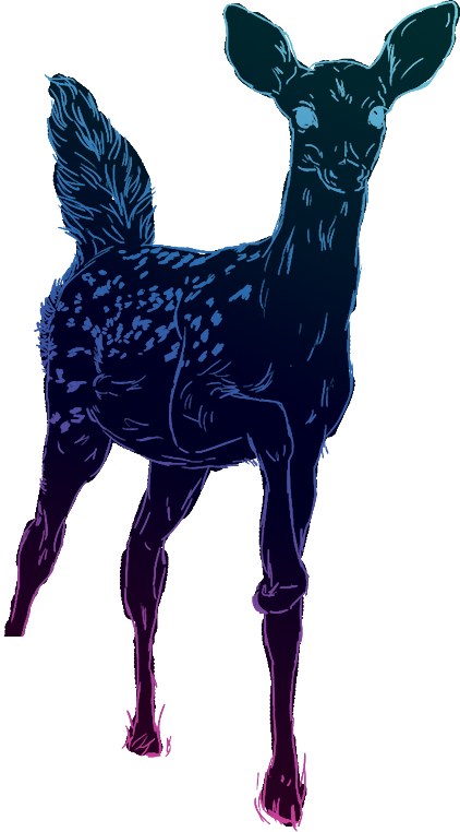 Illustration of the caution card from The Oracle of the Wild