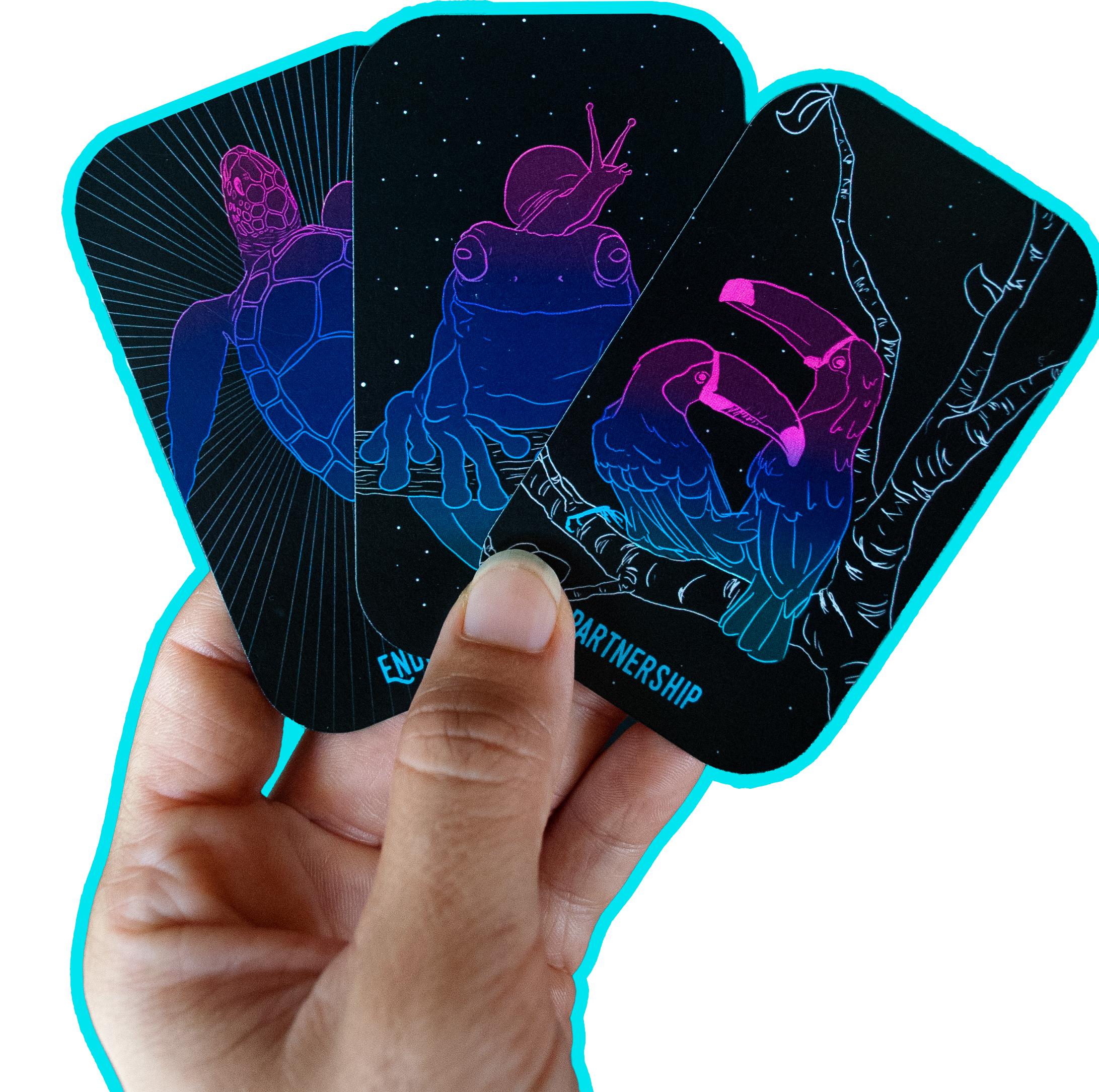 Cards from The Oracle of the Wild